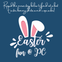 Easter Bunny Photos and Spring Cupcake Fundraiser